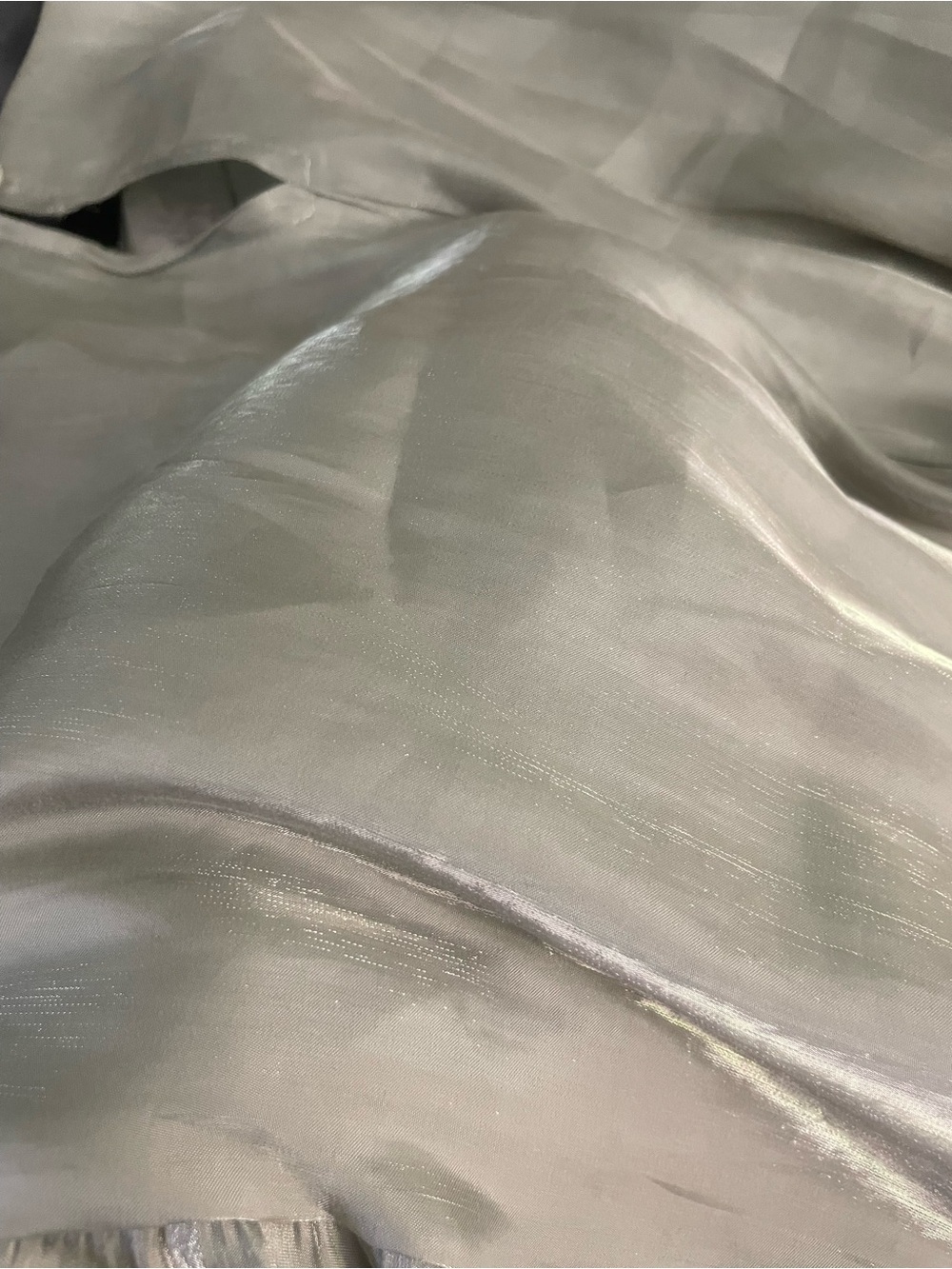 Sheer, Shimmery Sage Green Blouse - Picture 8 of 11